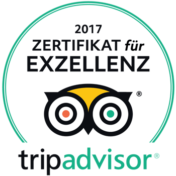 Zertifikat für Exzellenz 2017